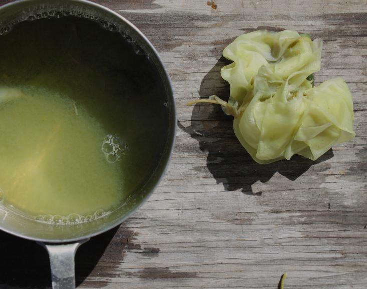 DIY Make a Natural Fabric Dye From Wisteria Gardenista